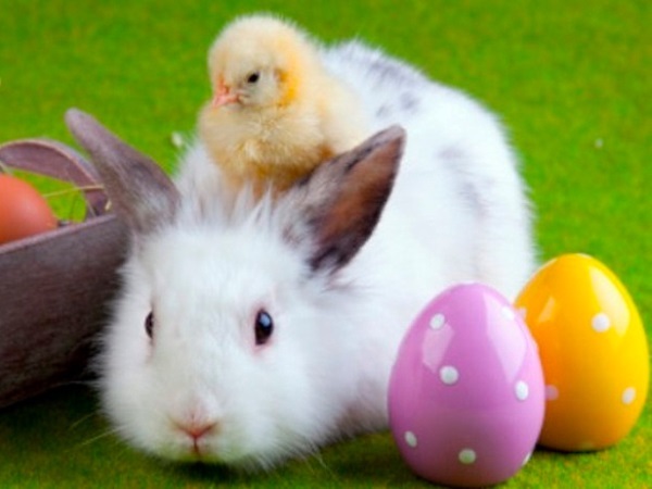 8 Interesting facts about Easter you probably didn’t know