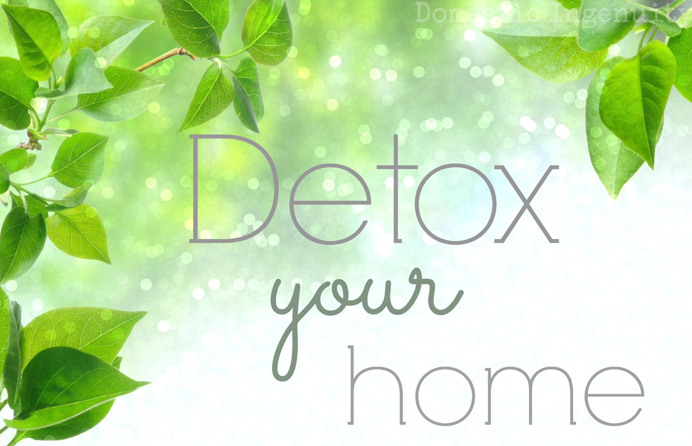 3 smart hacks to detoxify your home this fall